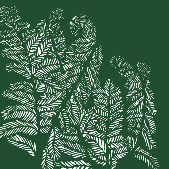 The Flower Collection: Ferns for wholesale by Charlotte Holt Art