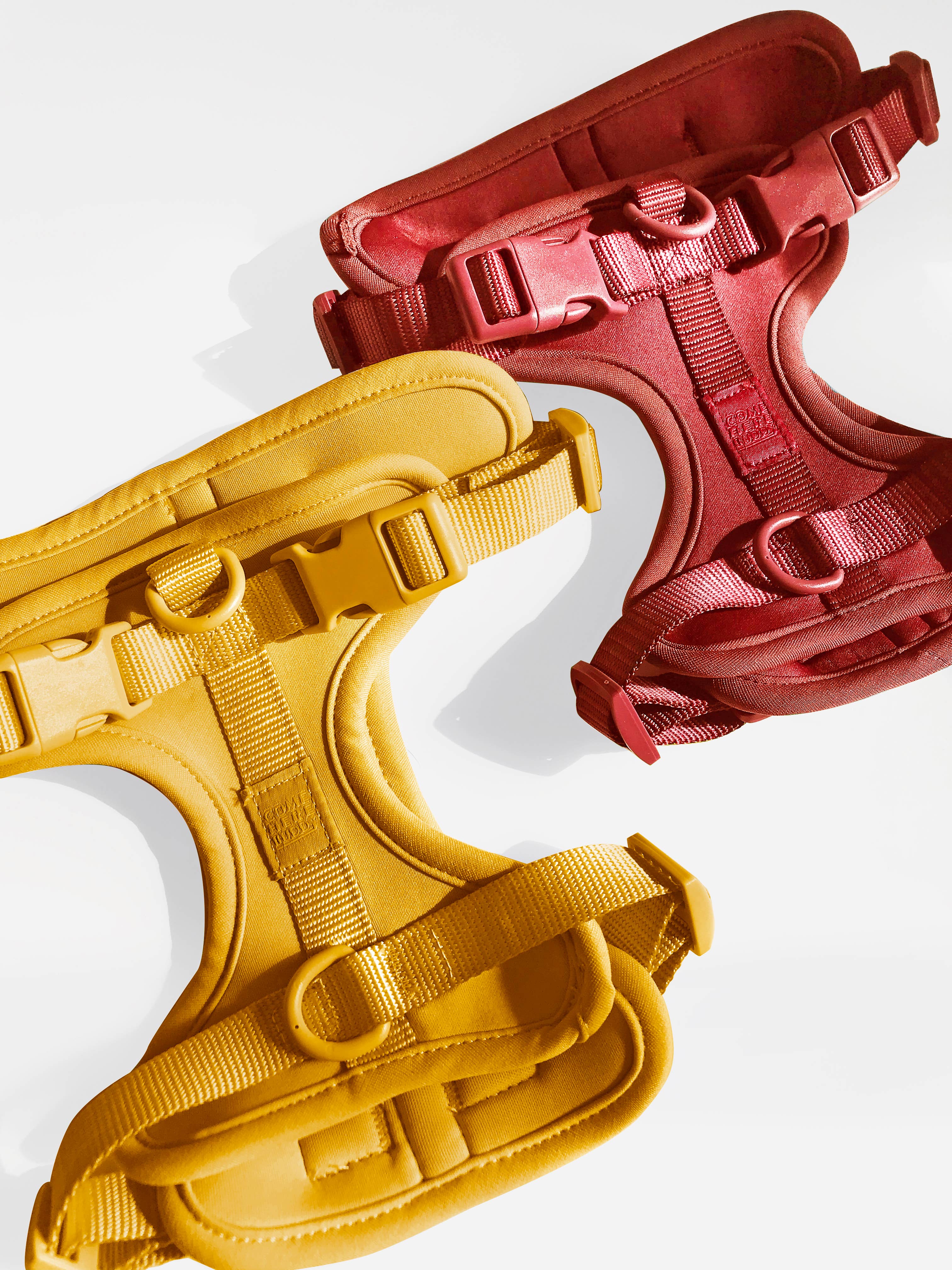 Come Here Buddy – Großhandel Haustiergeschirr – Hund – Leichter, verstellbarer gepolsterter Hundegeschirr3