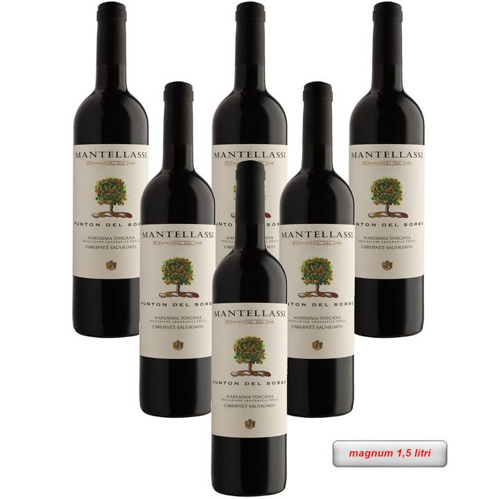 Metina SAS - Wholesale Red Wine - Punton Del Sorbo Maremma Tuscany Fattoria Mantellassi 75 cl.4