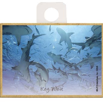 School of Sharks Circling Sea Life'S Beauty serie de imanes de nevera de madera que miden 2.5 pulgadas x 3.5 pulgadas x 1/8 pulgadas de grosor. Se puede eliminar el nombre cuando ordena más de 6 piezas: envíe por correo electrónico exactamente lo que desea que aparezca el nombre a Sales@Sjtent.Com para venta al por mayor de SJT Enterprises, Inc.