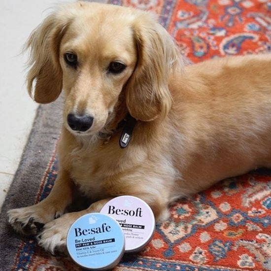 BeLoved, Natural Dog Grooming Products. - Wholesale Pet Balm - Dog - Hand Crafted Gift Set, 3 Natural Dog Paw & Nose Balms
