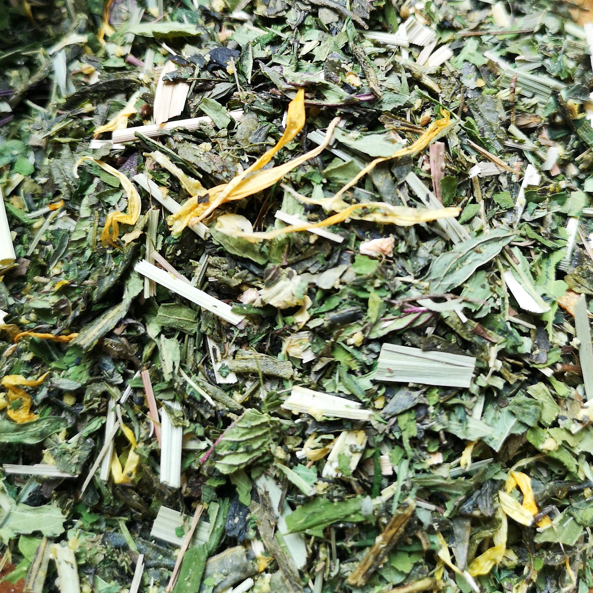 WeedStock – Großhandel Gesundheits-/Entgiftungstee – ENERGY INFUSION N° 530 – Tee mit Mate und Guarana0