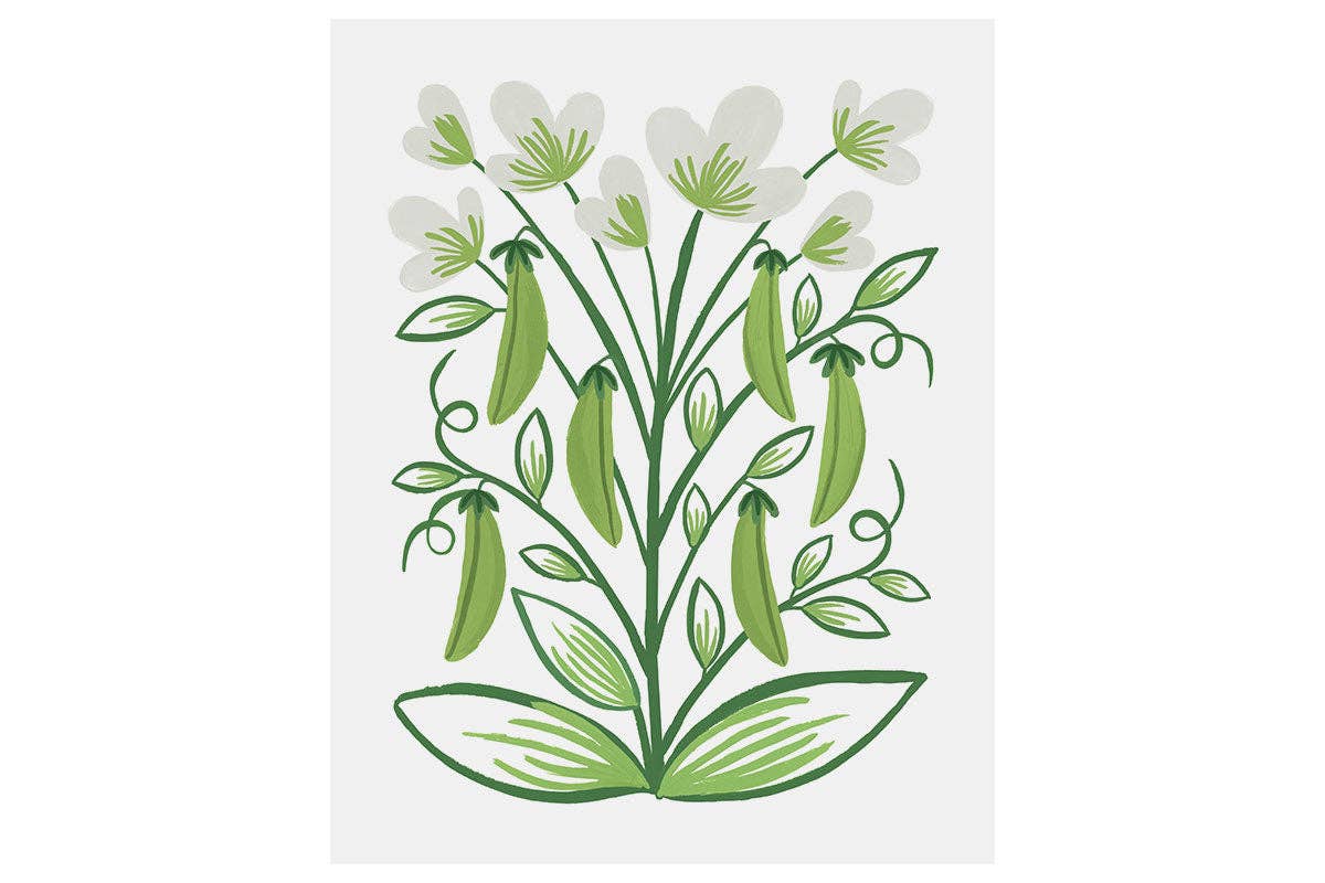 LoveLight Paper - Wholesale Art Print - Snap Pea Plant - Modern Farm Garden Art Print2