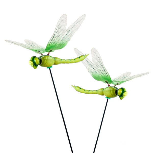 Large Bobble Dragonfly Plant Stick for wholesale by Land & Sea