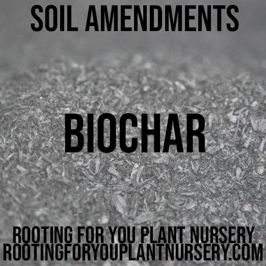 Rooting For You Plant Nursery - Vendita all'ingrosso Terriccio per piante/vasi - Sacchi richiudibili di ammendante del suolo BioChar biologico0