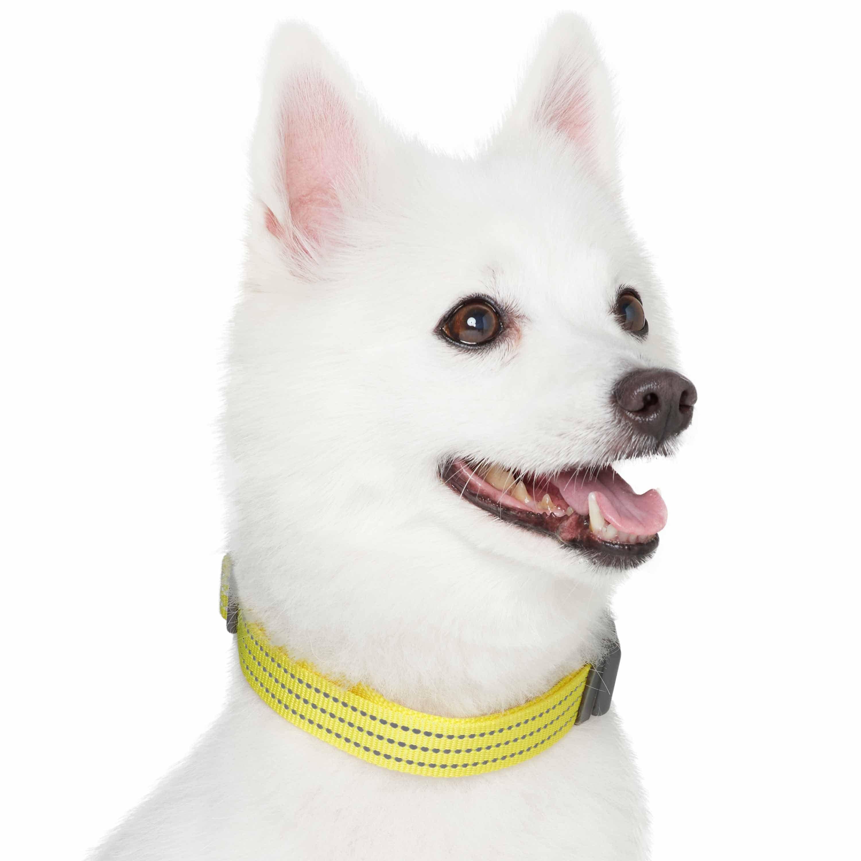 Blueberry Pet - Venta al por mayor Collar - Perros - Collar reflectante para perros Better Basic en 8 colores25
