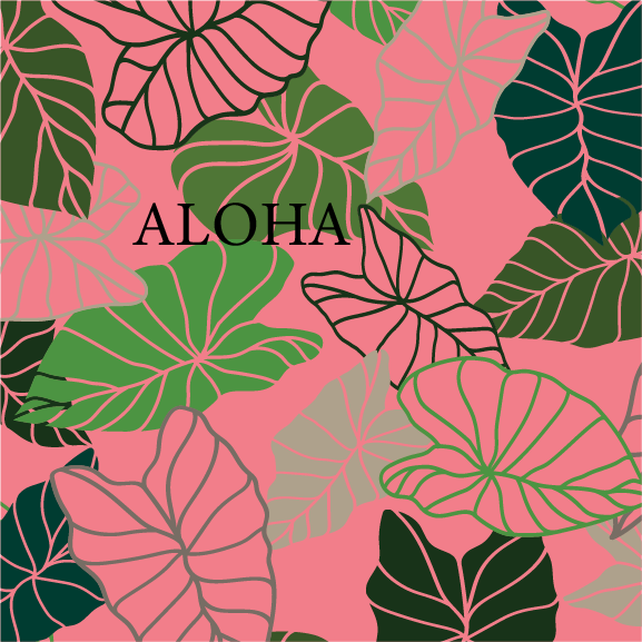 Adventure Hawaii – Engroshandel Lommelærke – Kalo | 16 oz vakuumisoleret flaske7