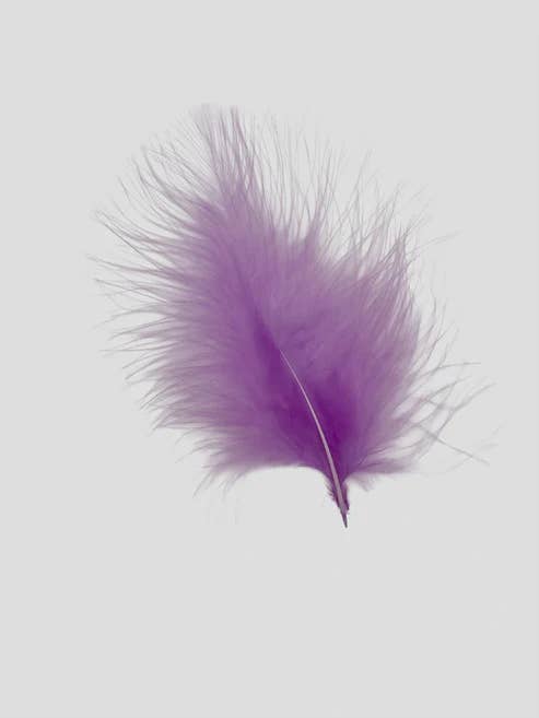 Marabou 12-15 cm Lavendel för wholesale av Enkels Feathers