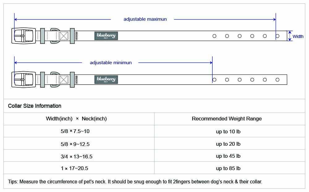 Blueberry Pet – coleira - Cão por atacado – A mais cobiçada designer de fio metálico para cão5