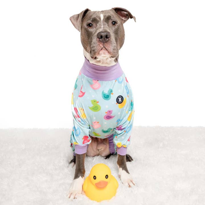 Pittie Clothing Co. - Wholesale Pet Pajamas - Dog - Purple 'So Ducking Cute' Pit bull Pajamas