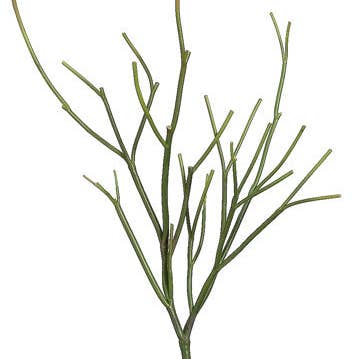 Fake Pencil Cactus Plant (12 pcs) for wholesale by JENNY SILKS