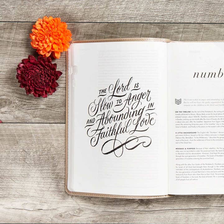 Lifeway - Wholesale Religion - CSB She Reads Truth Bible, Champagne Gold LeatherTouch4