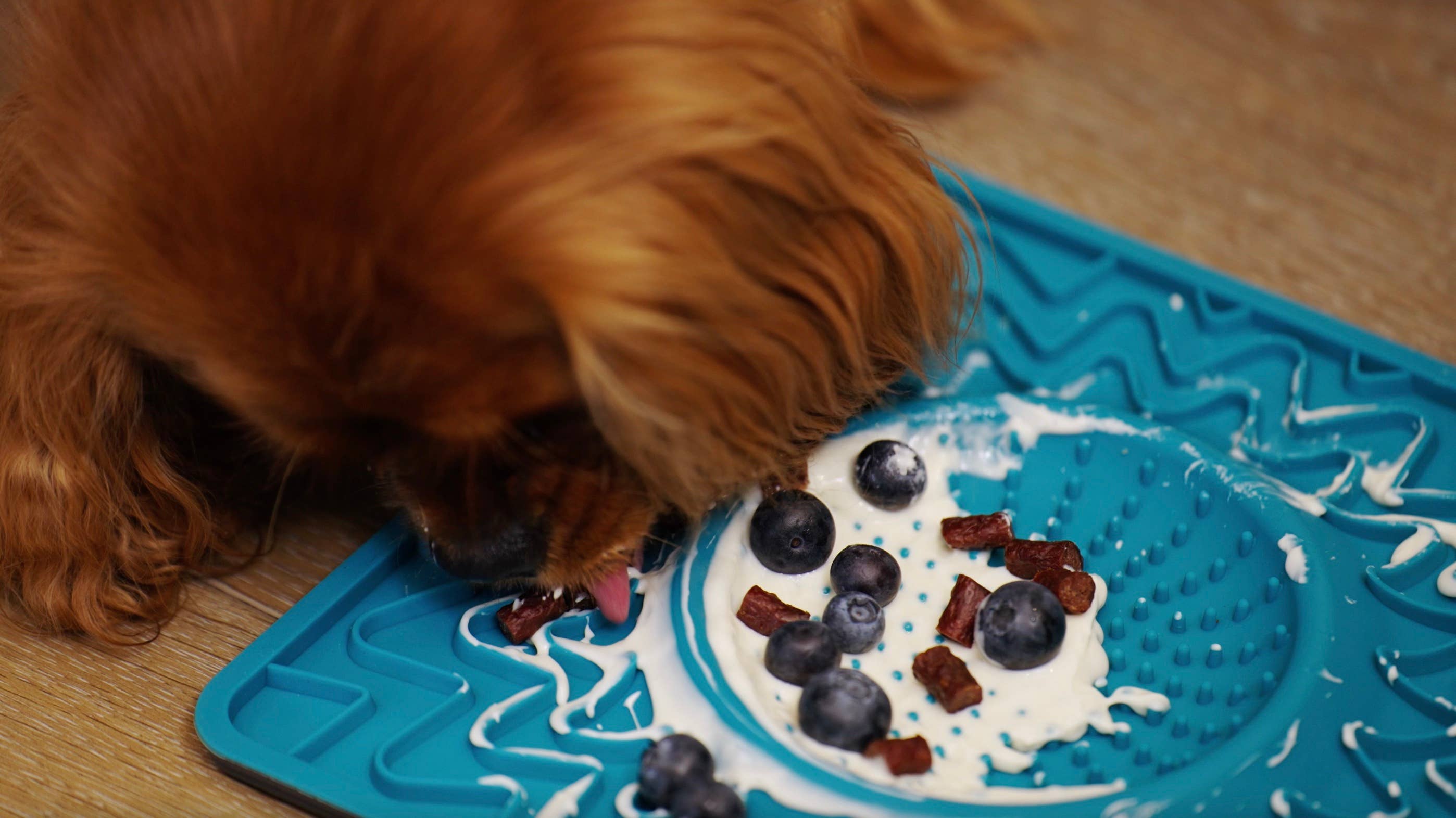 Tilted Barn Pet Co. - Vente Friandises – chien - Friandises au bœuf Miniwags pour chiens 100g/3,53 oz8