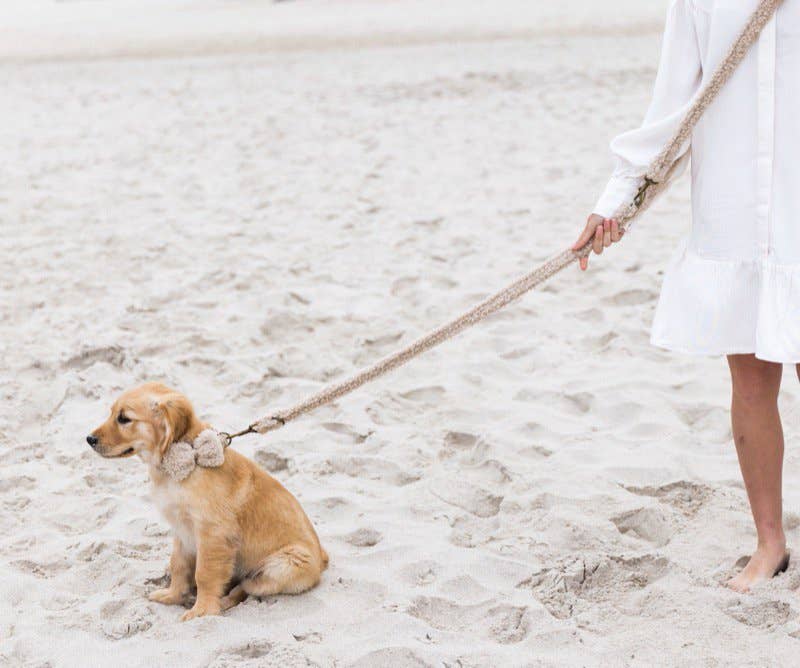 Studio Proud - Wholesale Pet Leash - Dog - Campbell - Teddy Light Dog Leash4