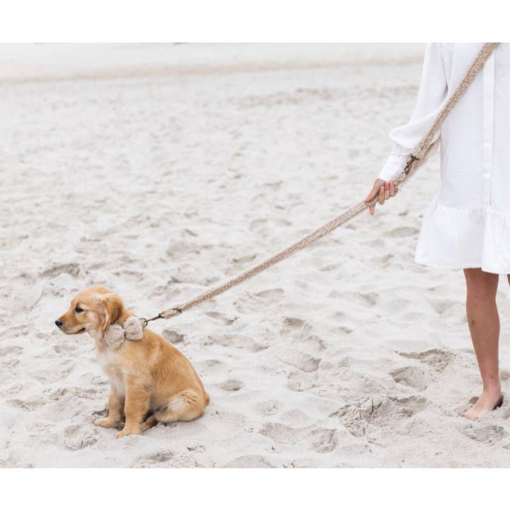 Studio Proud - Wholesale Pet Leash - Dog - Campbell - Teddy Light Dog Leash4