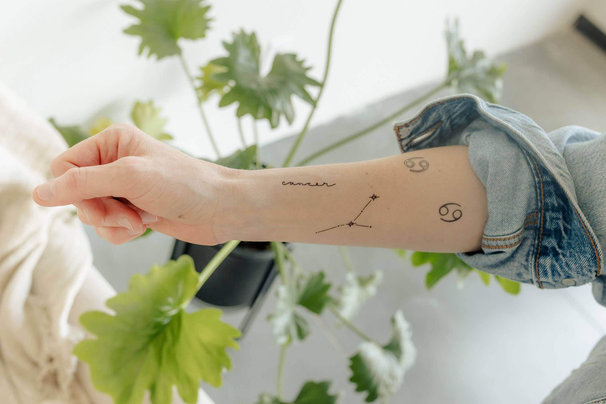 Saint Tattoos - Wholesale Temporary Tattoo - Cancer Temporary Tattoos | The Zodiac Collection2