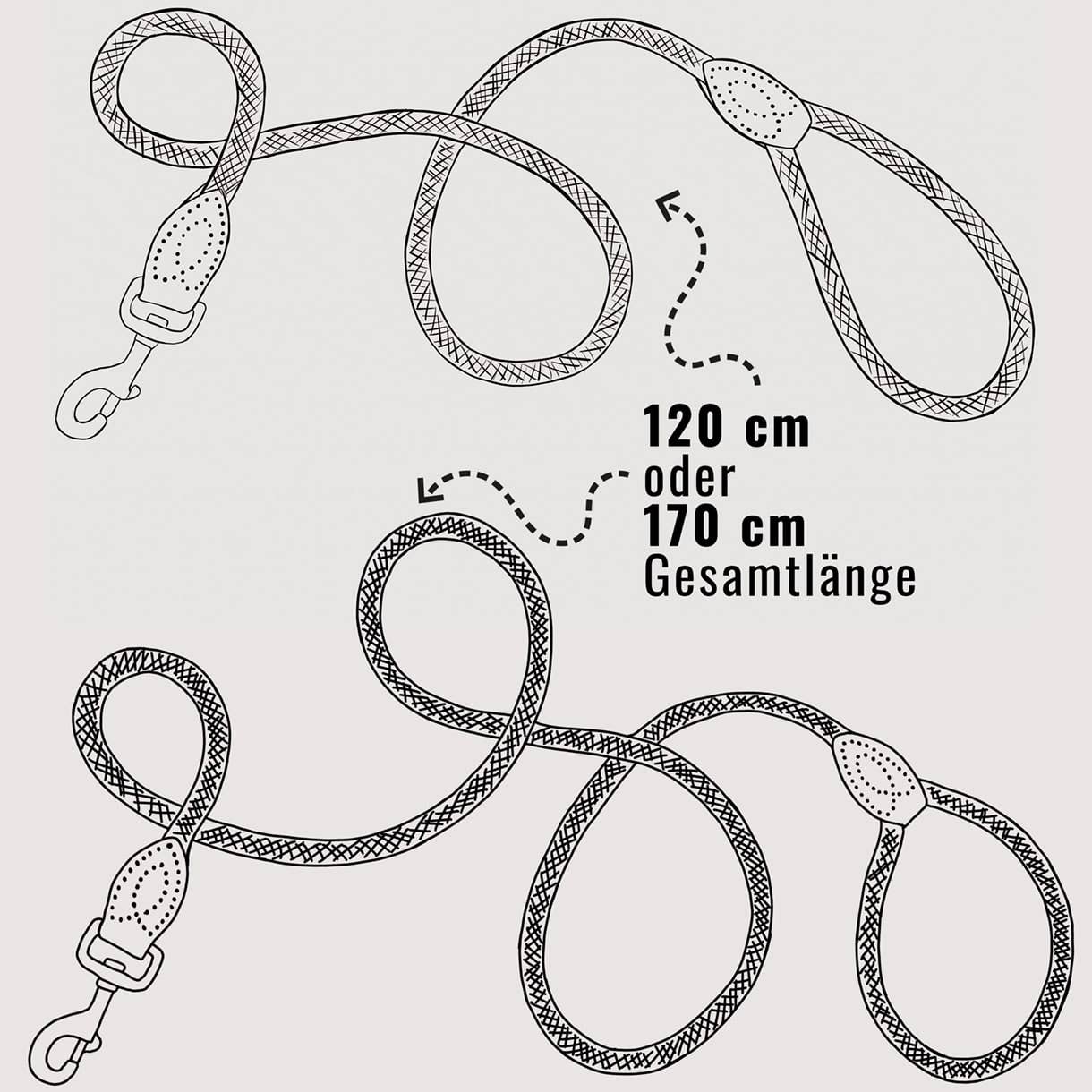 ne&no - Vente Laisse – chien - ne&no® Laisse pour chiens –120 ou 170 cm– laisse fixe24