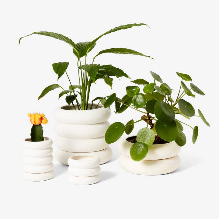 Areaware - Wholesale Plant Pot - Stacking Planter - Mini