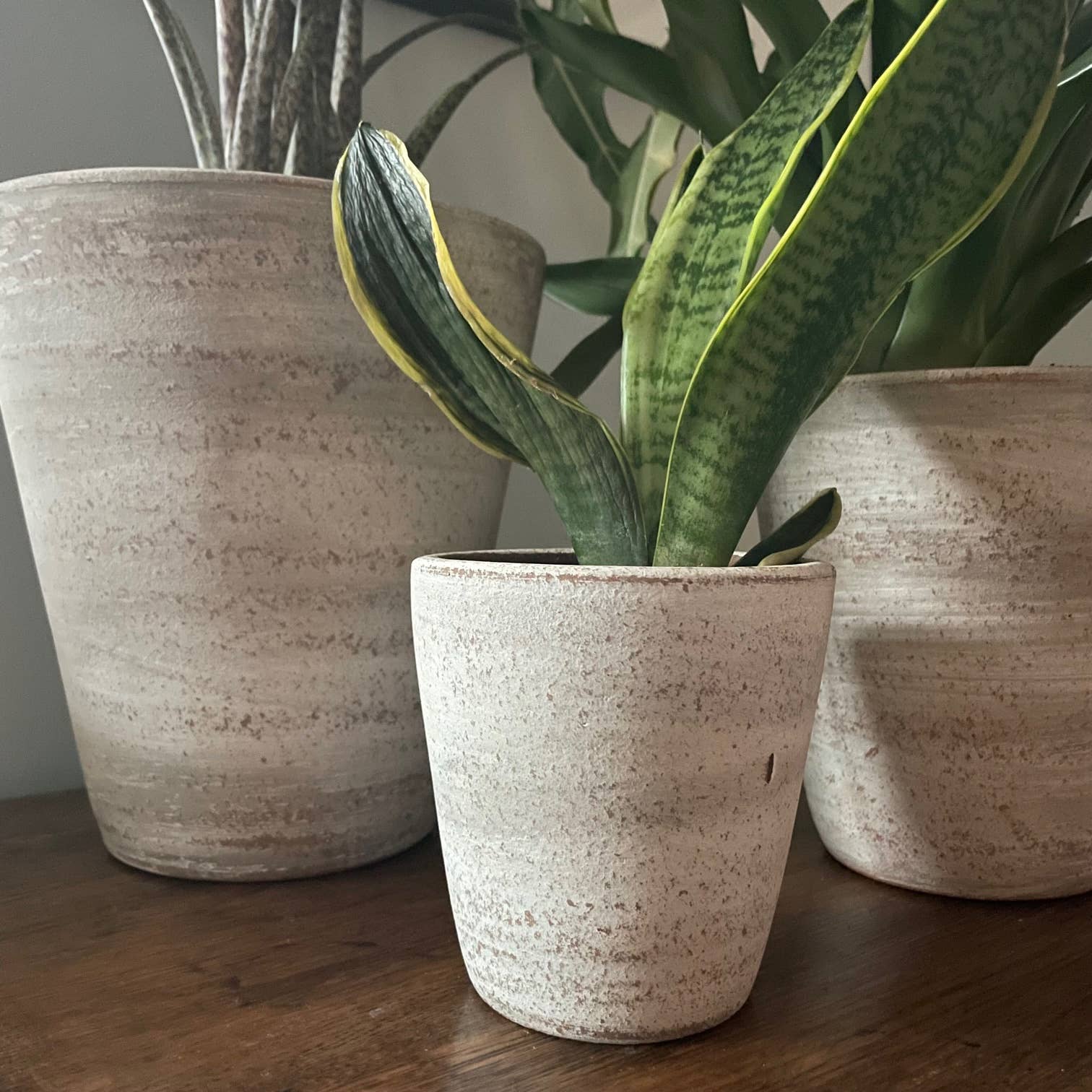 Women of the Cloud Forest - Wholesale Plant Pot - Concrete White-washed Terracotta Planter (Medium)2