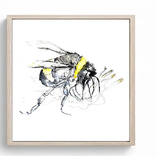 Wendy Laverick - Vendita all'ingrosso Stampa artistica - Stampa su Tela Quadrata in Edizione Limitata Bertie l'Ape Bombus