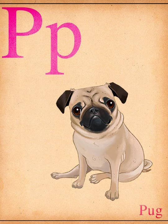 Chiens de A à Z : cadeau carlin, carte flash, impression d'art pour chien pour la vente par Brian Rubenacker studios