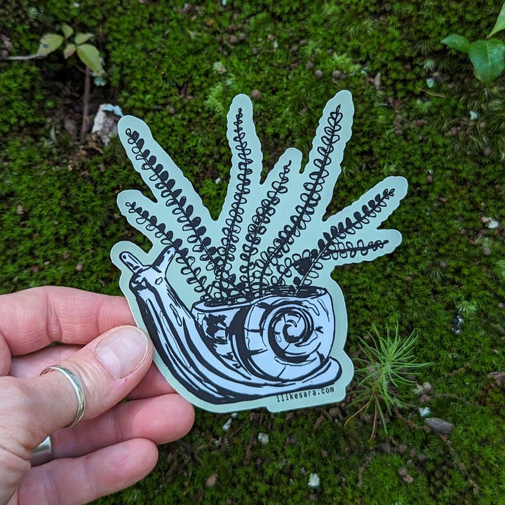ilikesara | art + goods - Wholesale Sticker - sticker | fern in snail planter2