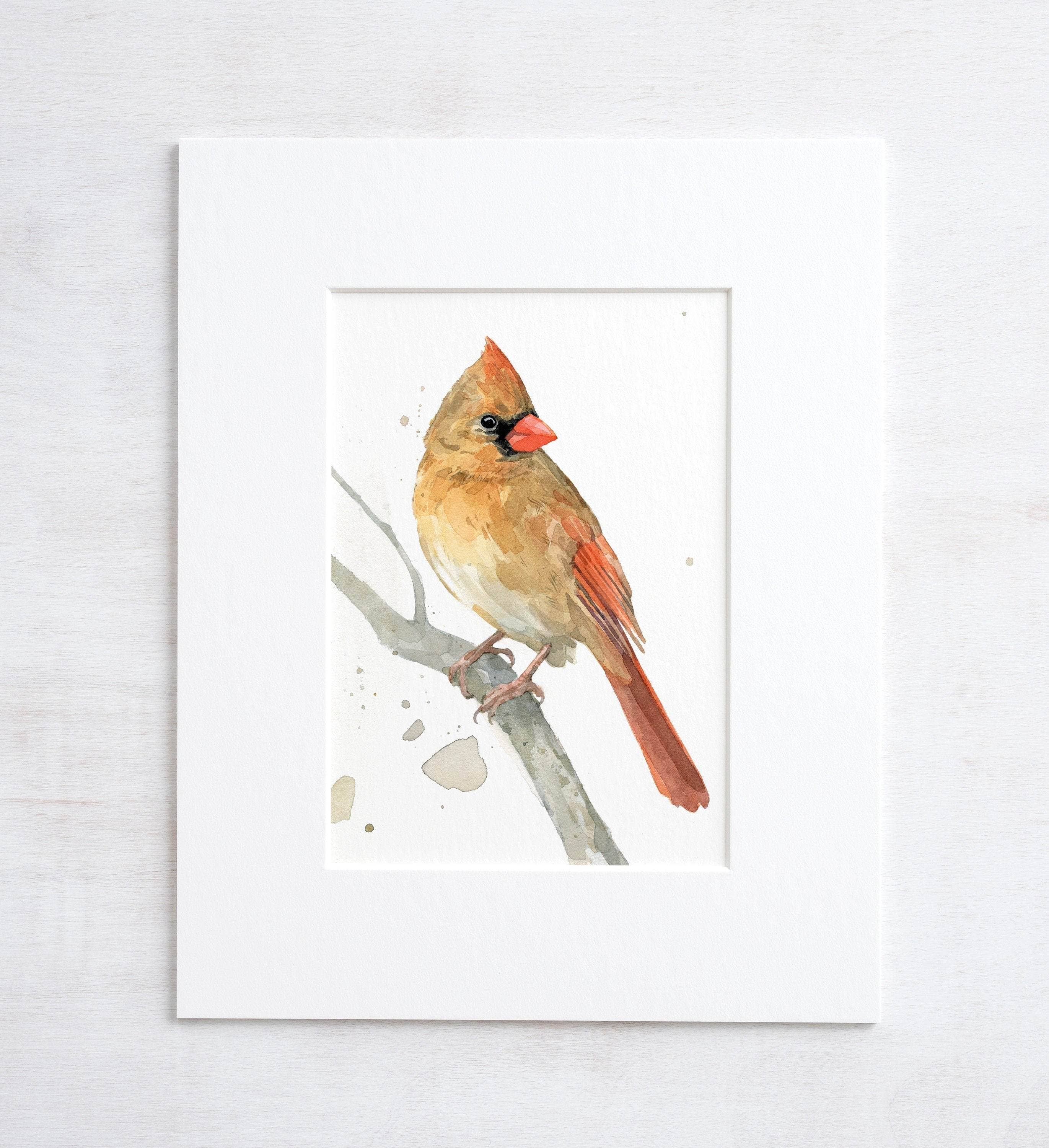 Studio Tuesday - Wholesale Art Print - Female Cardinal Branch Watercolor Print, Bird Painting1