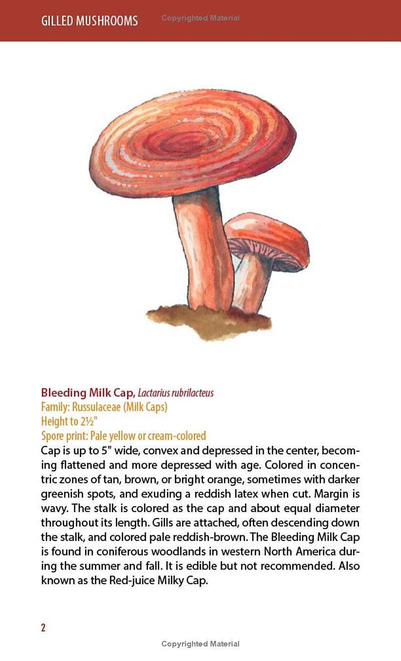 REMOVED BRAND - Wholesale Nature & Outdoors - Mushrooms: A Falcon Field Guide3