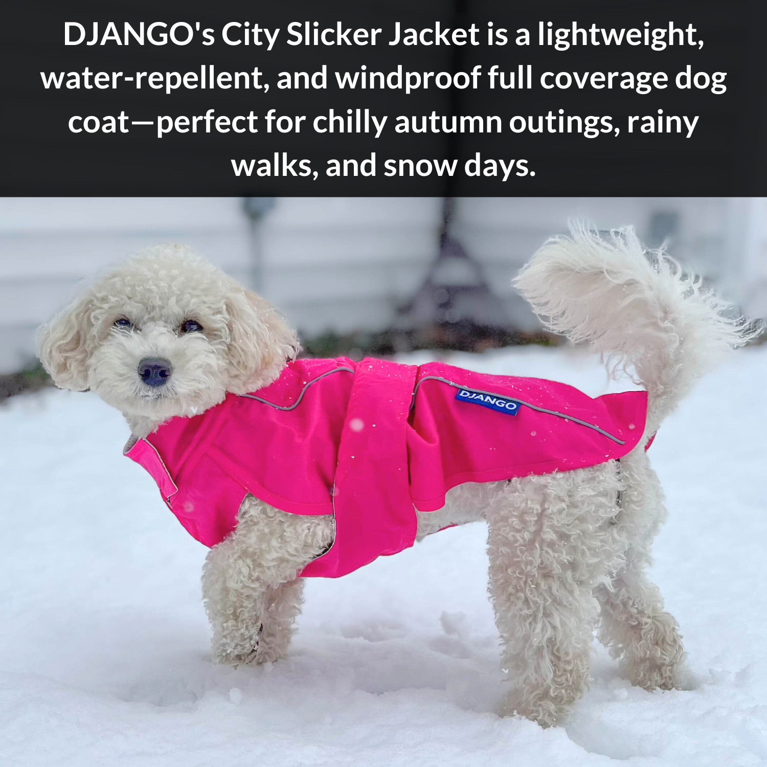 DJANGO - Wholesale Pet Raincoat - Dog - City Slicker Dog Jacket & Raincoat - Cerise Pink1