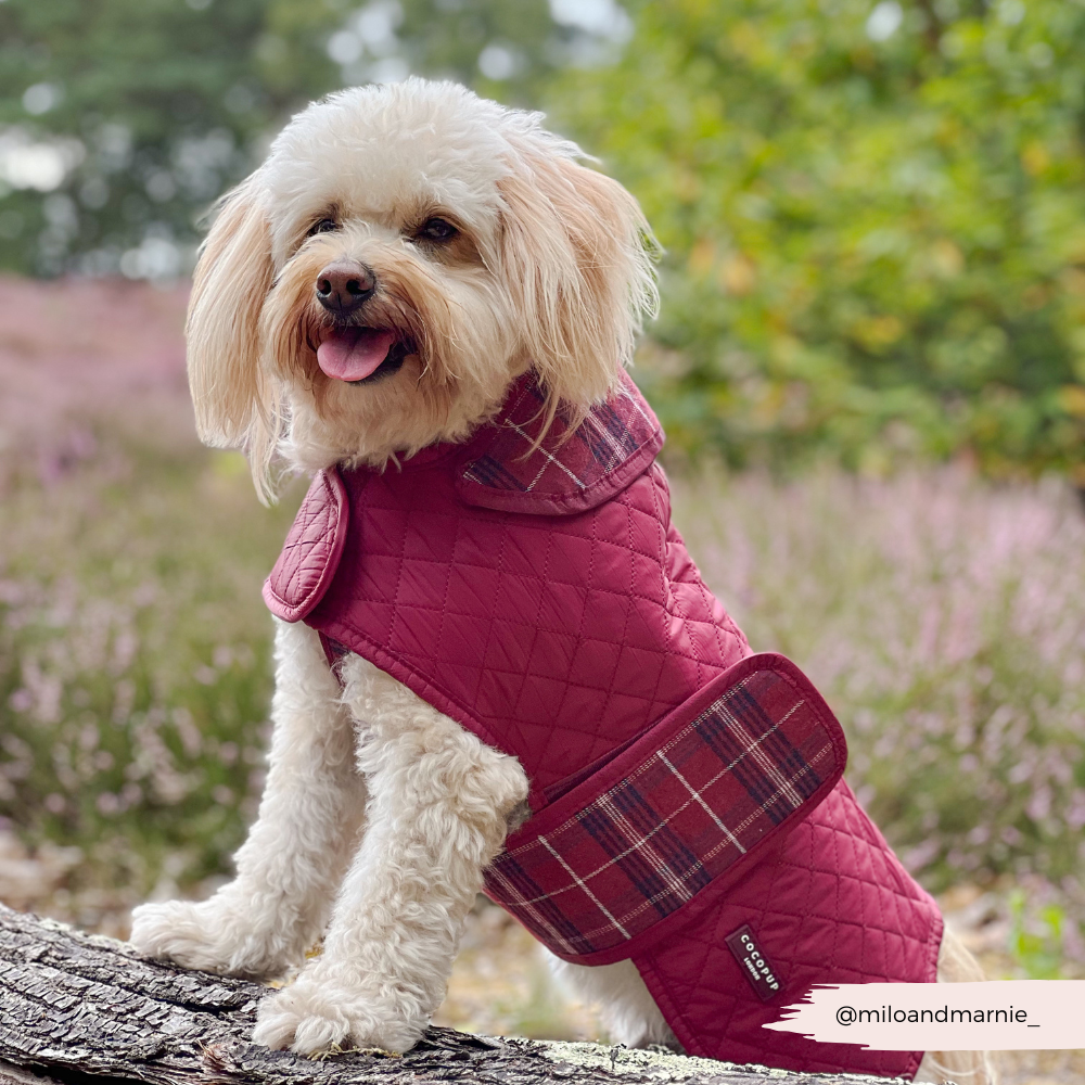 Cocopup London - Wholesale Pet Coat - Dog - LUXE Quilted Dog Coat - Mulberry Plaid8