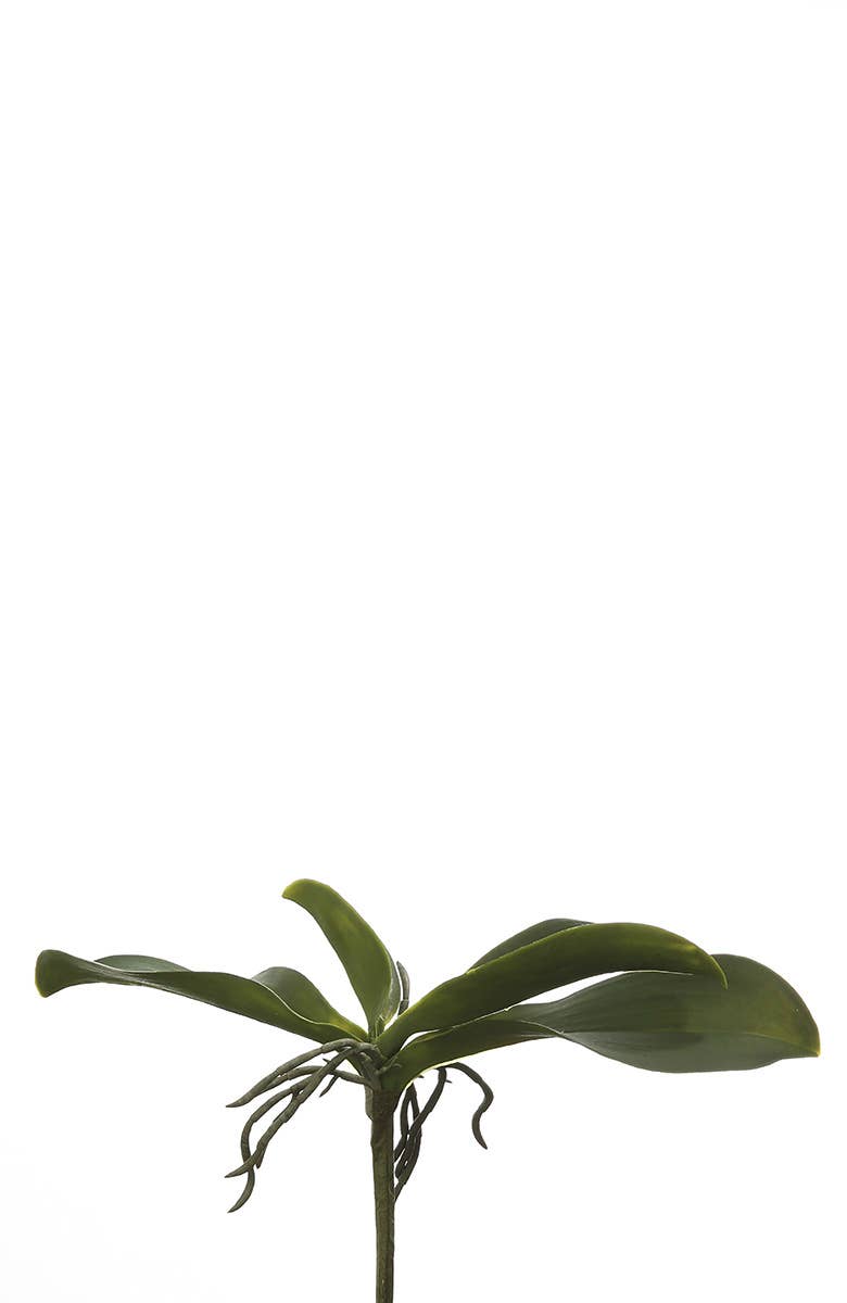 Gilde Handwerk Macrander GmbH & Co. KG - Wholesale Artificial Plant - Decorative orchid leaves/4 VE 120