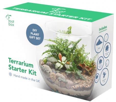 RootBox - Wholesale DIY Craft Kit - RootBox™ Large Plant Terrarium Kit in scented giftbox