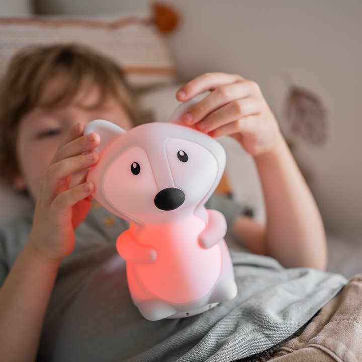 Luminous Distribution - Wholesale Night Light - Kids & Baby - Duski Rechargeable Bluetooth Night Light - Fox3
