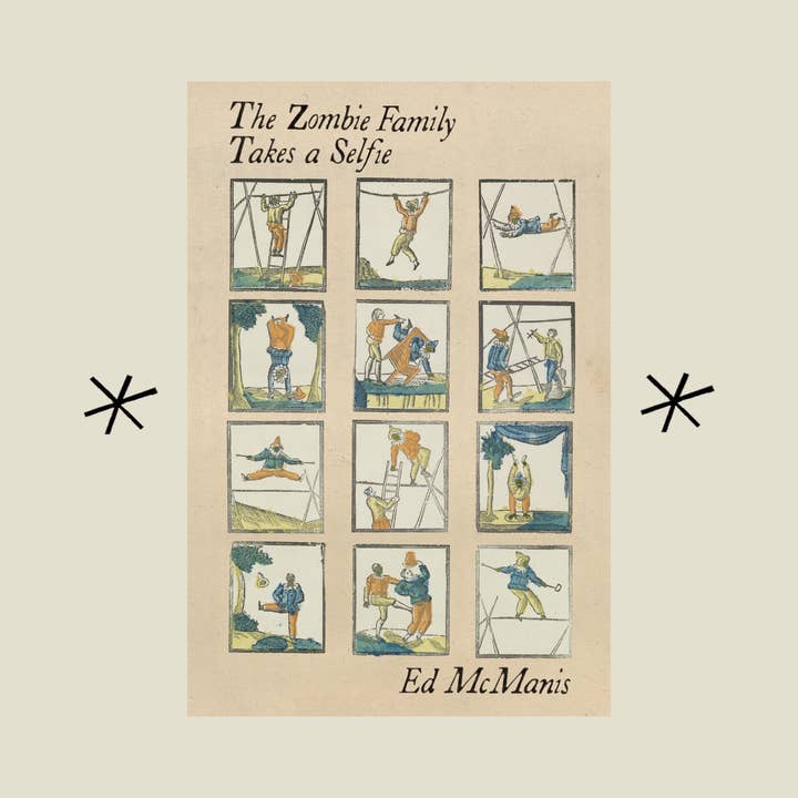 Bottlecap Press - Wholesale Book - Adult - The Zombie Family Takes a Selfie, by Ed McManis