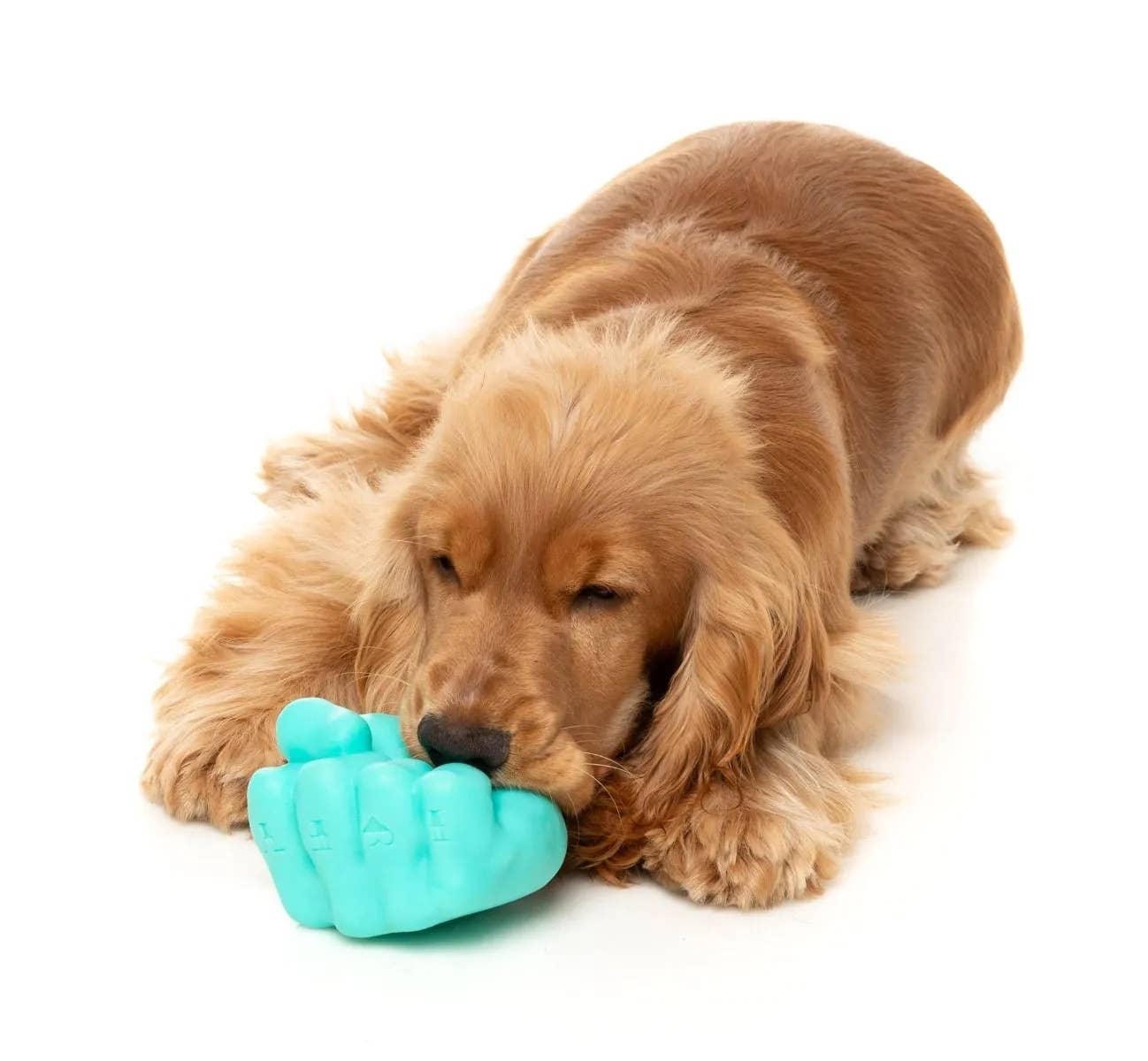 Pet Palette Distribution - Wholesale Pet Chew Toy - Dog - FuzzYard Knuckle Sandwich Dog Chew Toy5