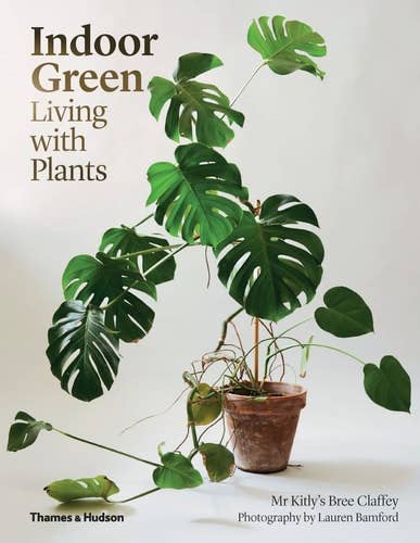 Boon Books – Großhandel Buch zum Thema Haus & Garten – Indoor Green: Leben mit Pflanzen von Bree Claffey0