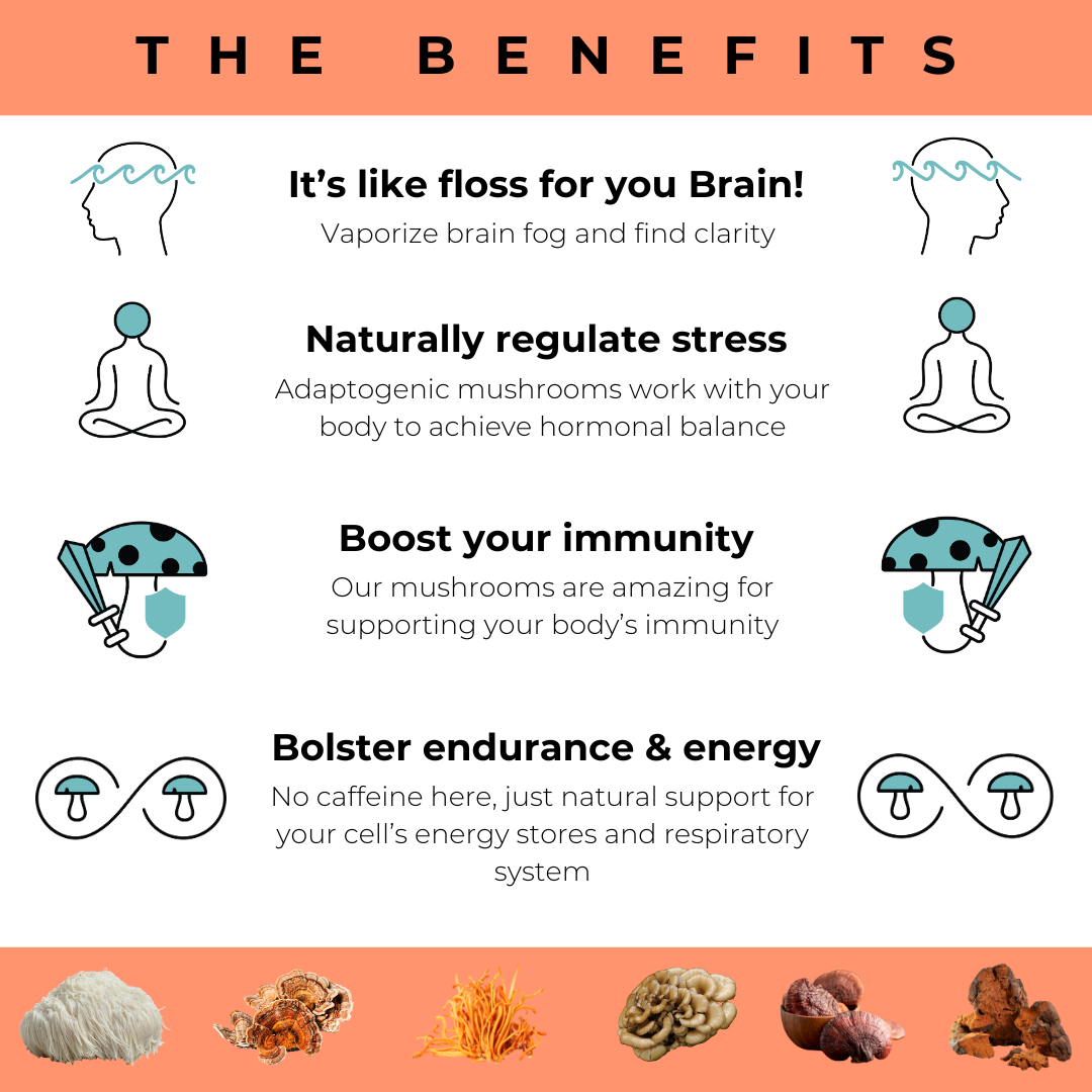 Brain Wave - Vente Supplément oral/vitamine - Gummies aux champignons superaliments2