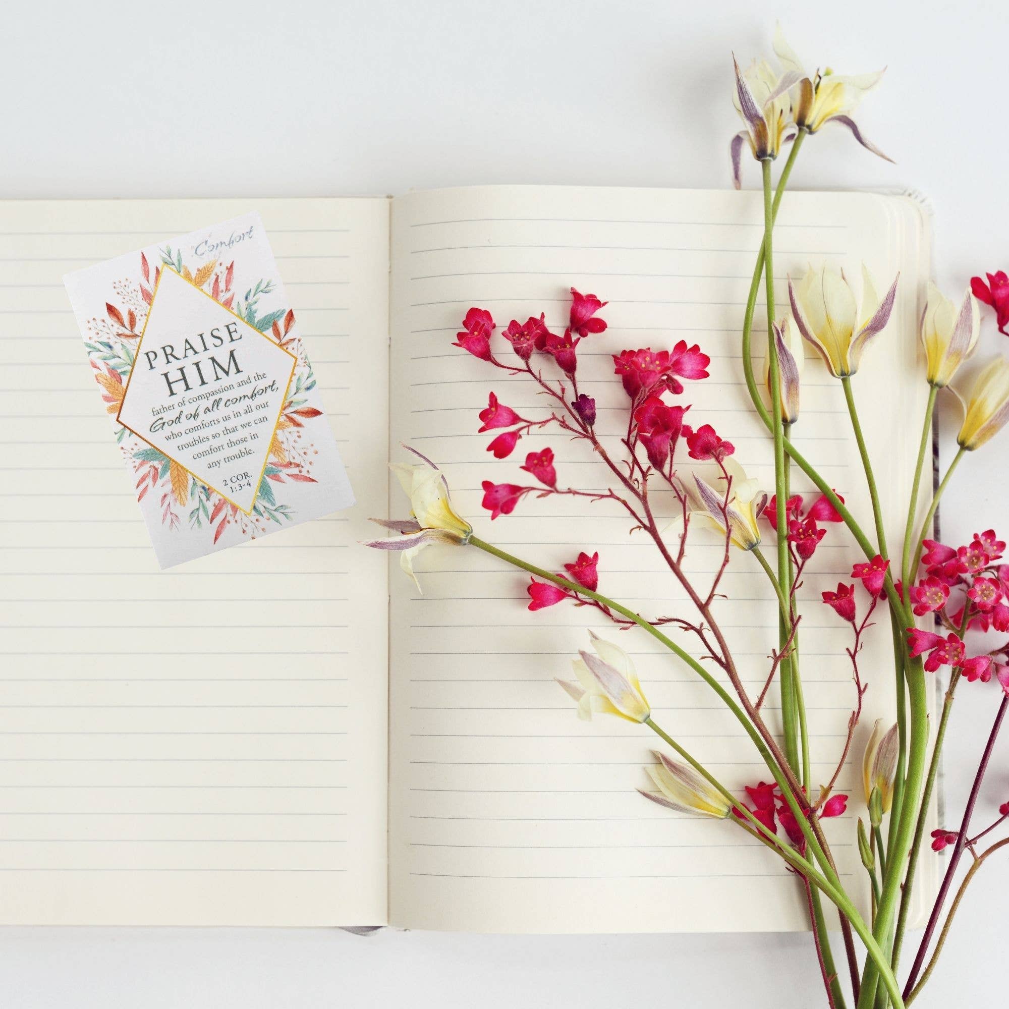 Dicksons - Vendita all'ingrosso Segnalibro - Bkm Ibb Comfort 2 Cor. 1:3 -4 2X31