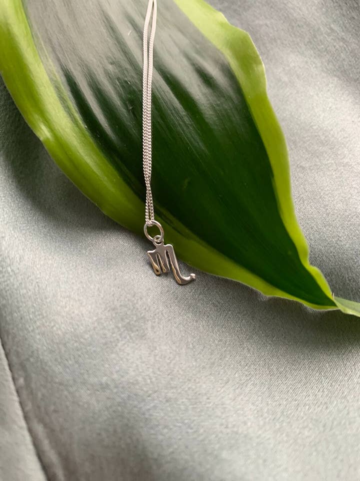 Sterling Silver Zodiac Horoscope Necklace for wholesale by Good Things BK
