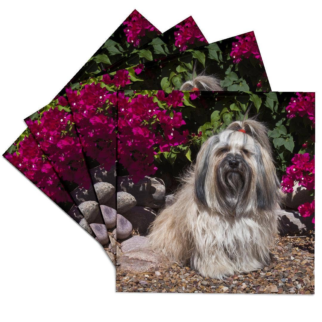 3dRose - Wholesale Coasters - 3dRose, Havanese sitting in front of flowers , Coaster0