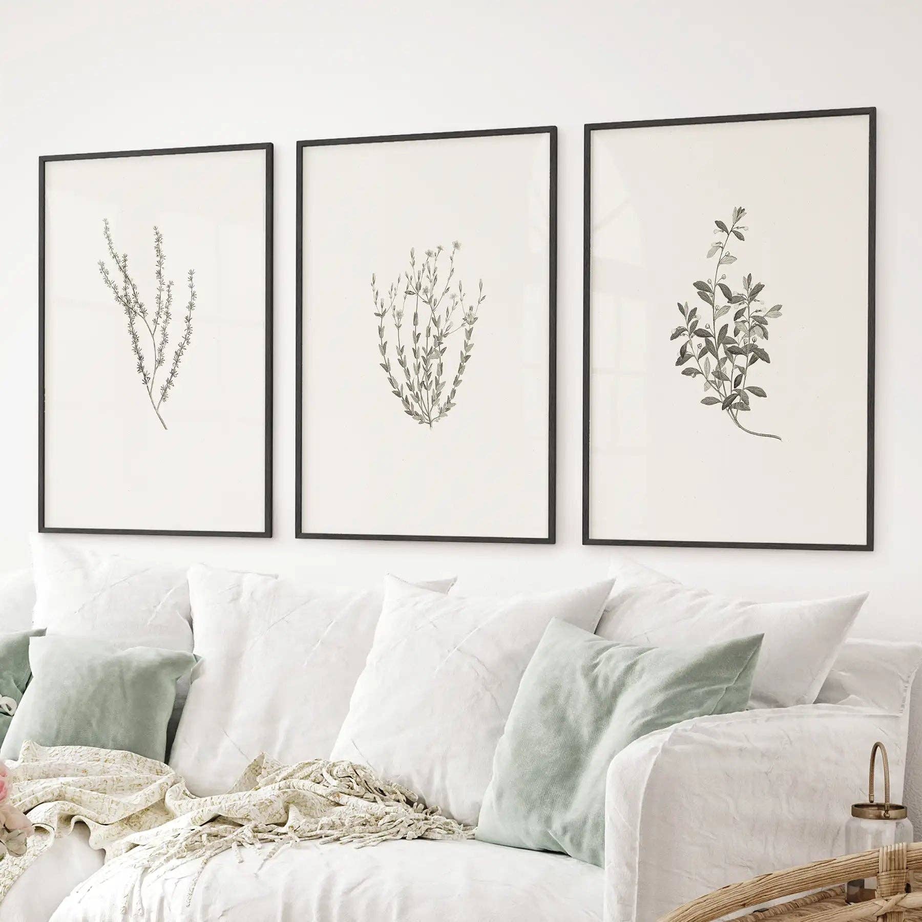 PrintSets.com - Wholesale Gallery Wall Set - Vintage Botanical 3 Piece Wall Decor. Rustic Dried Flower Prints5