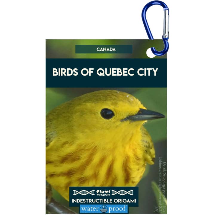 Fugle fra Quebec City - Uforgængelig Origami for engroshandel hos Flexi Field Guides