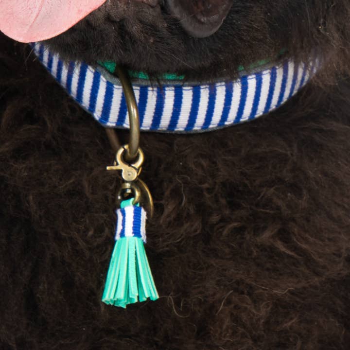 Mr Cruise Fabric Dog Collar XXL (Neck Size 55-65 cm / 4 cm) voor wholesale door Dog with a Mission