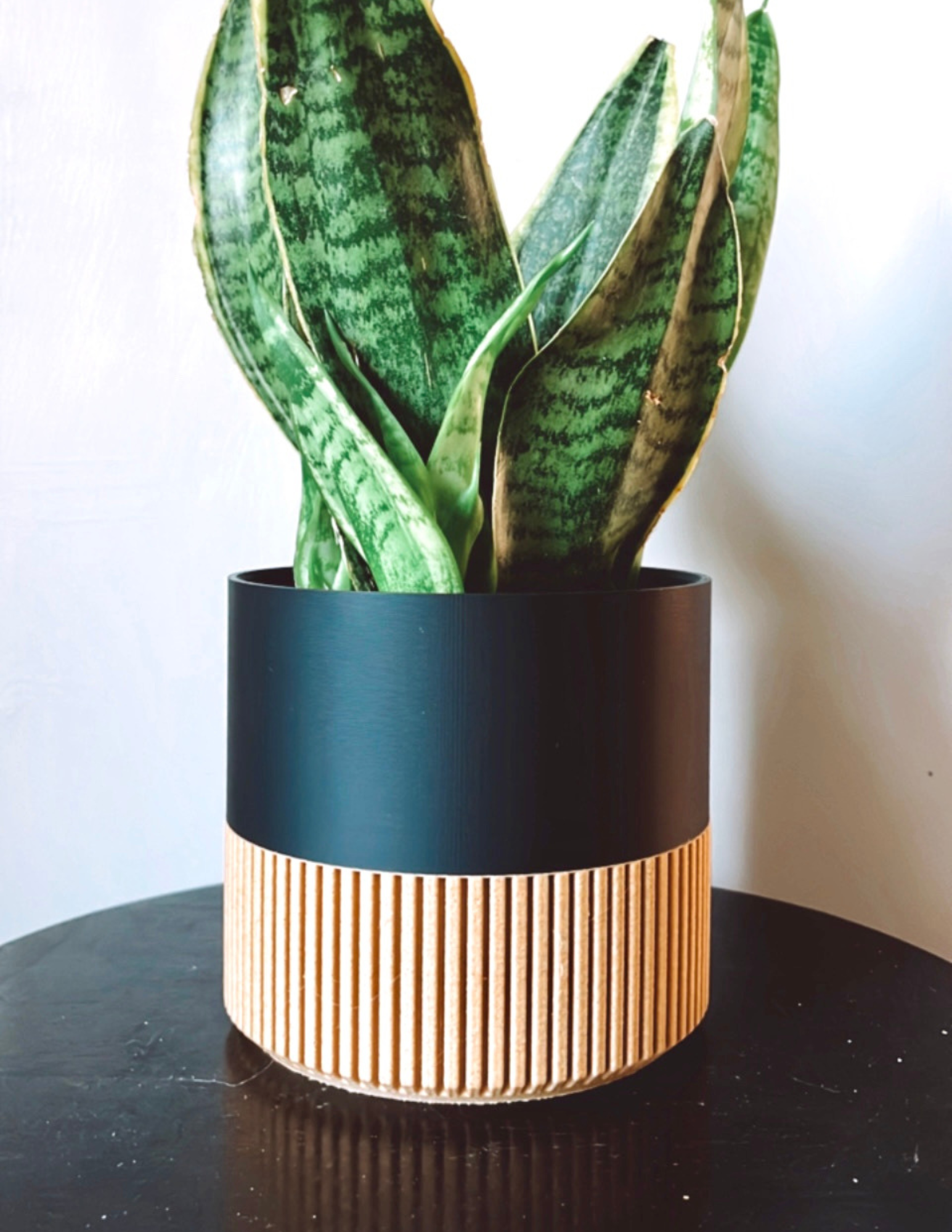 Prairie City Printing Co. - Wholesale Plant Pot - Two-toned Wood & Colour (Olive) Plant Pot 1