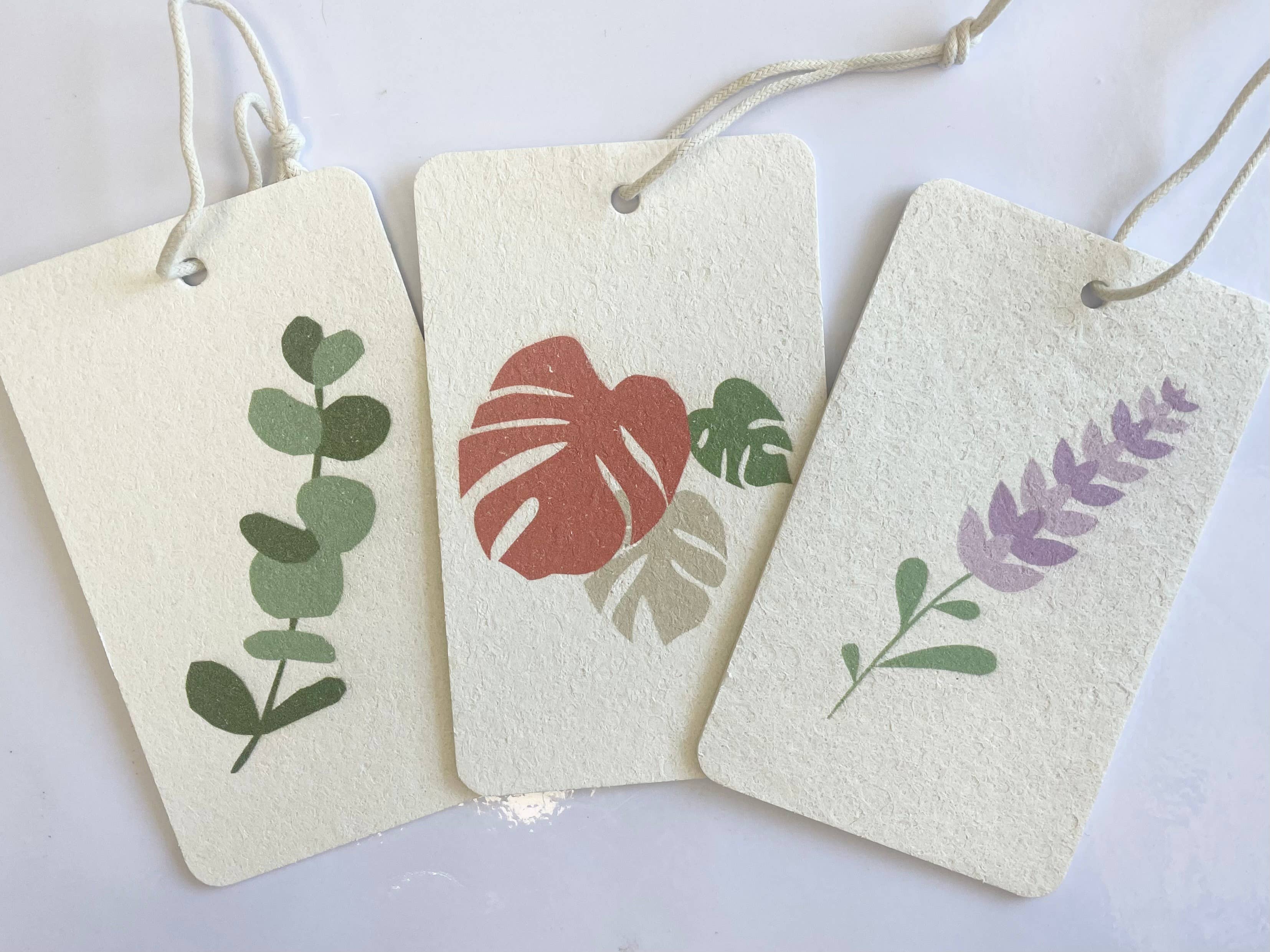 Arizona Thistle - Wholesale Cleaning Sponge - Eco Sponge 3pk1