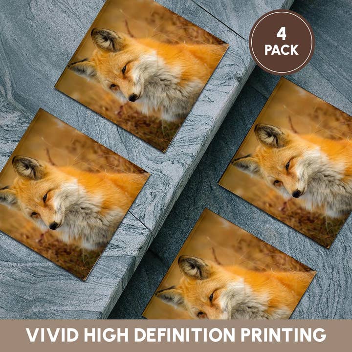 3dRose - Wholesale Coasters - 3dRose, Red Fox, Coaster5