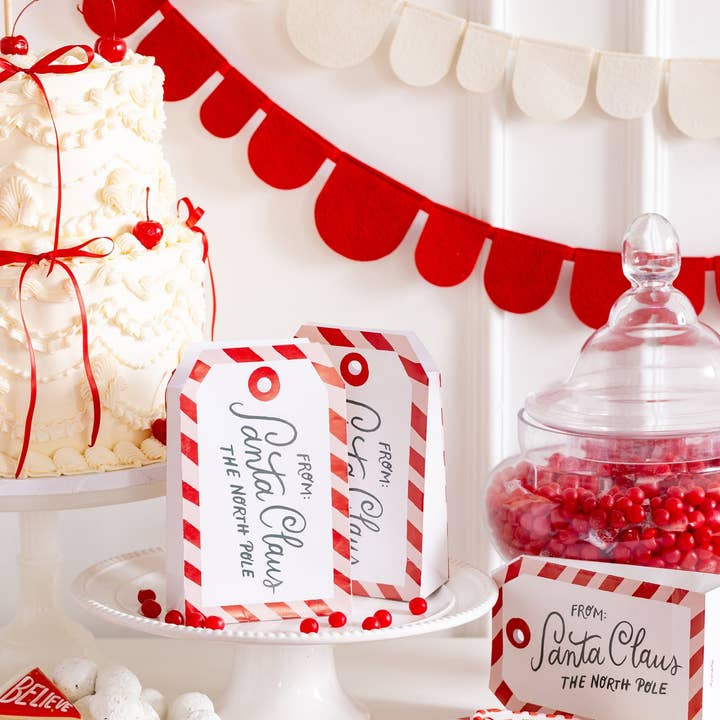 My Mind’s Eye - Wholesale Gift Bag - BEC1208 - Gift Tag Treat Bags1