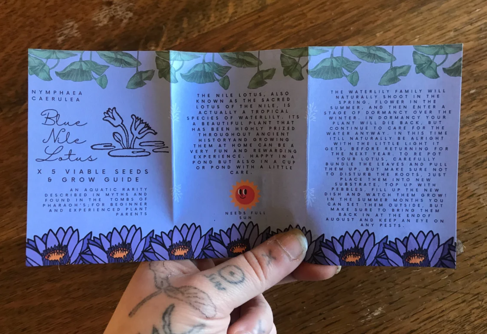 lotusleafaltars - Wholesale Plant Seeds - Easy Grow Blue Lotus Waterlily Seed Pack, Rare Aquatic Plant2