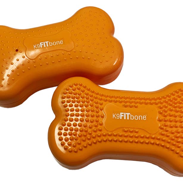 CanineGym® K9FITbone Balance Training Platform – Mini for wholesale by FitPAWS