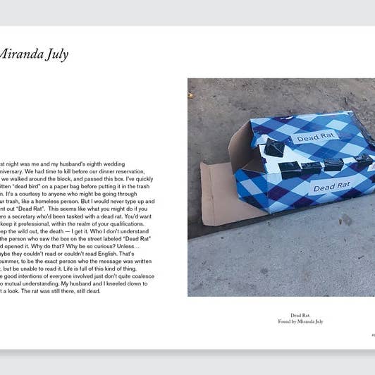 AMMO Books - Wholesale Book - Adult - Sad Stuff on the Street By Sloane Crosley and Greg Larson